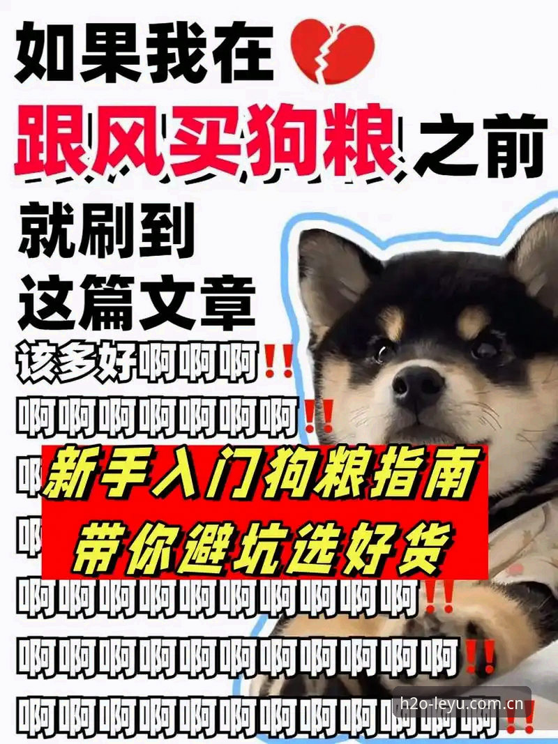 乐鱼赛事数据攻略的实用避坑指南——从老玩家到新手的进阶手册